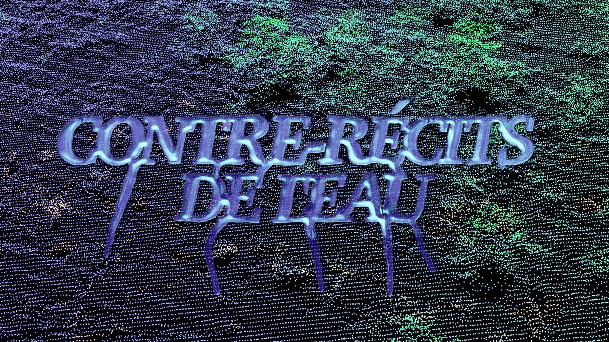 Pratiques et formes de l'enquête