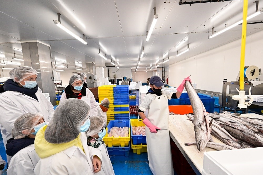 Visite du port de pêche Lorient - Maison de la Mer