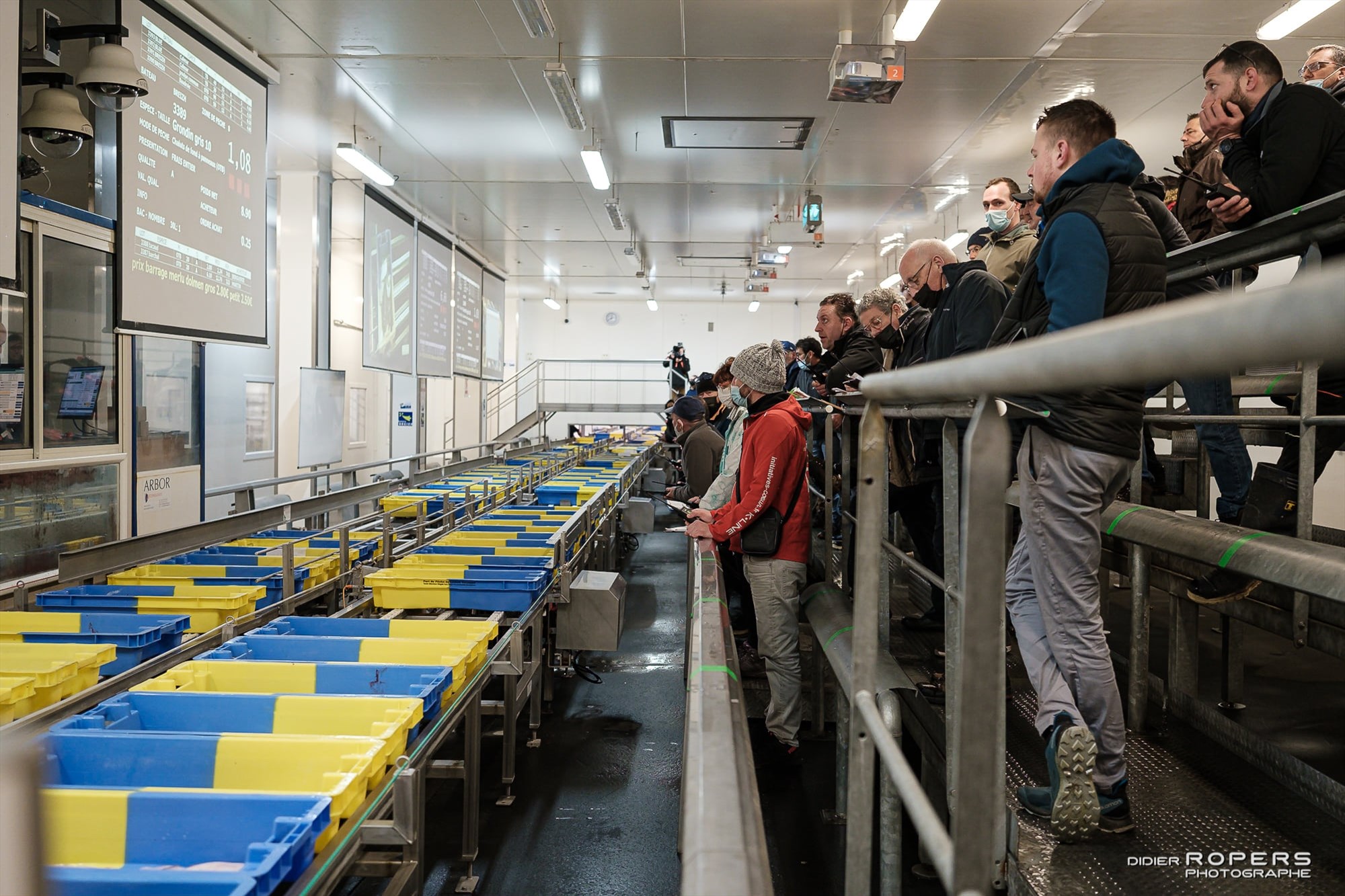 Visite de la criée Lorient Maison de la Mer