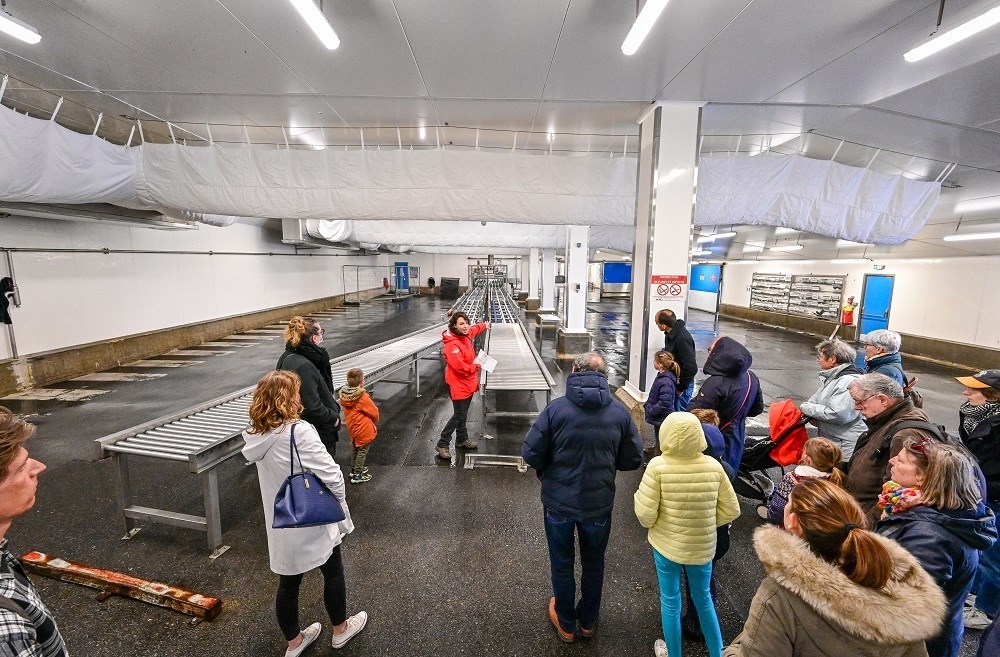 Visite du port de pêche Lorient - Maison de la Mer