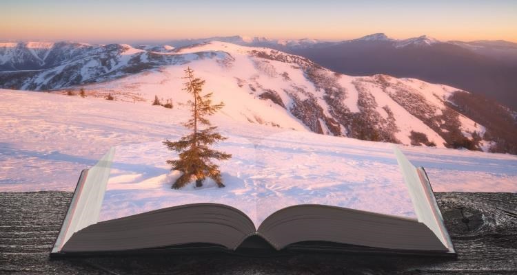 Livre, Lecture Hennebont