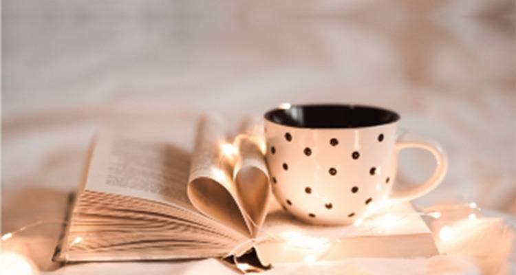 Livre, Lecture Hennebont