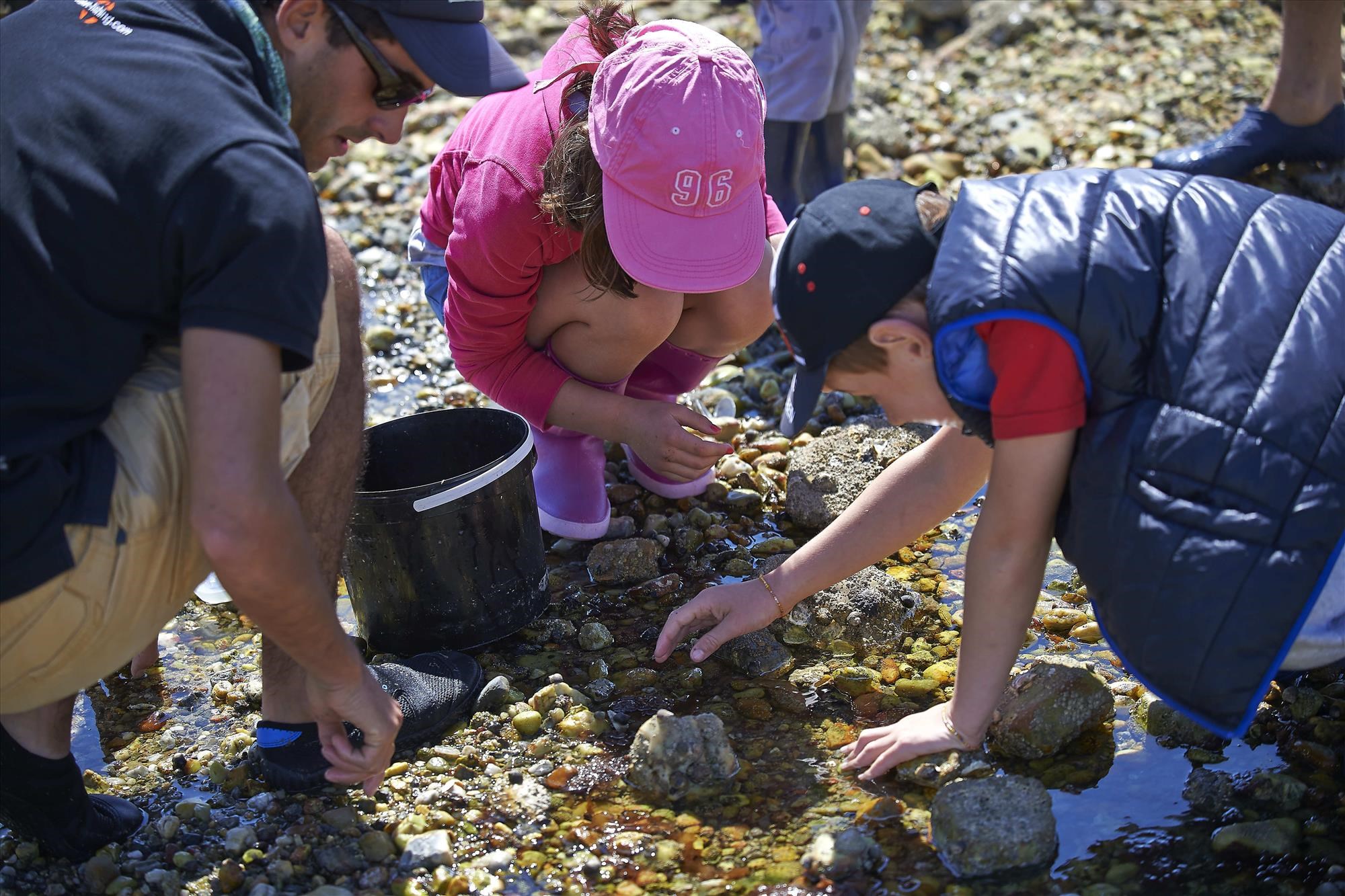 Sortie nature Riantec