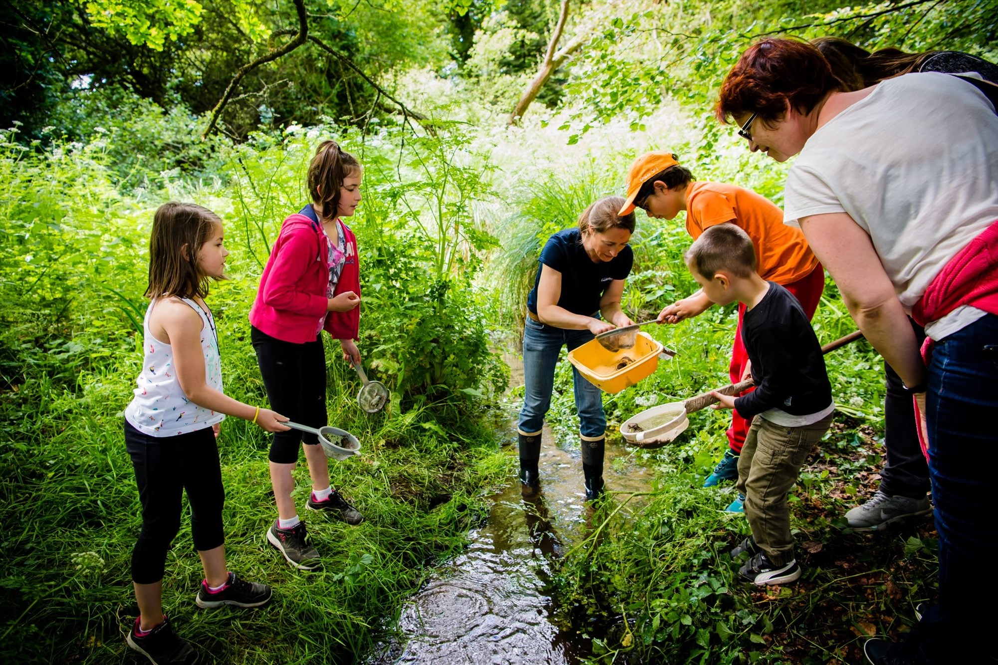 Sortie nature Pont-Scorff