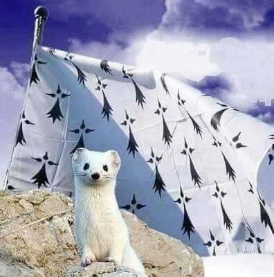 Conférence histoire Lorient