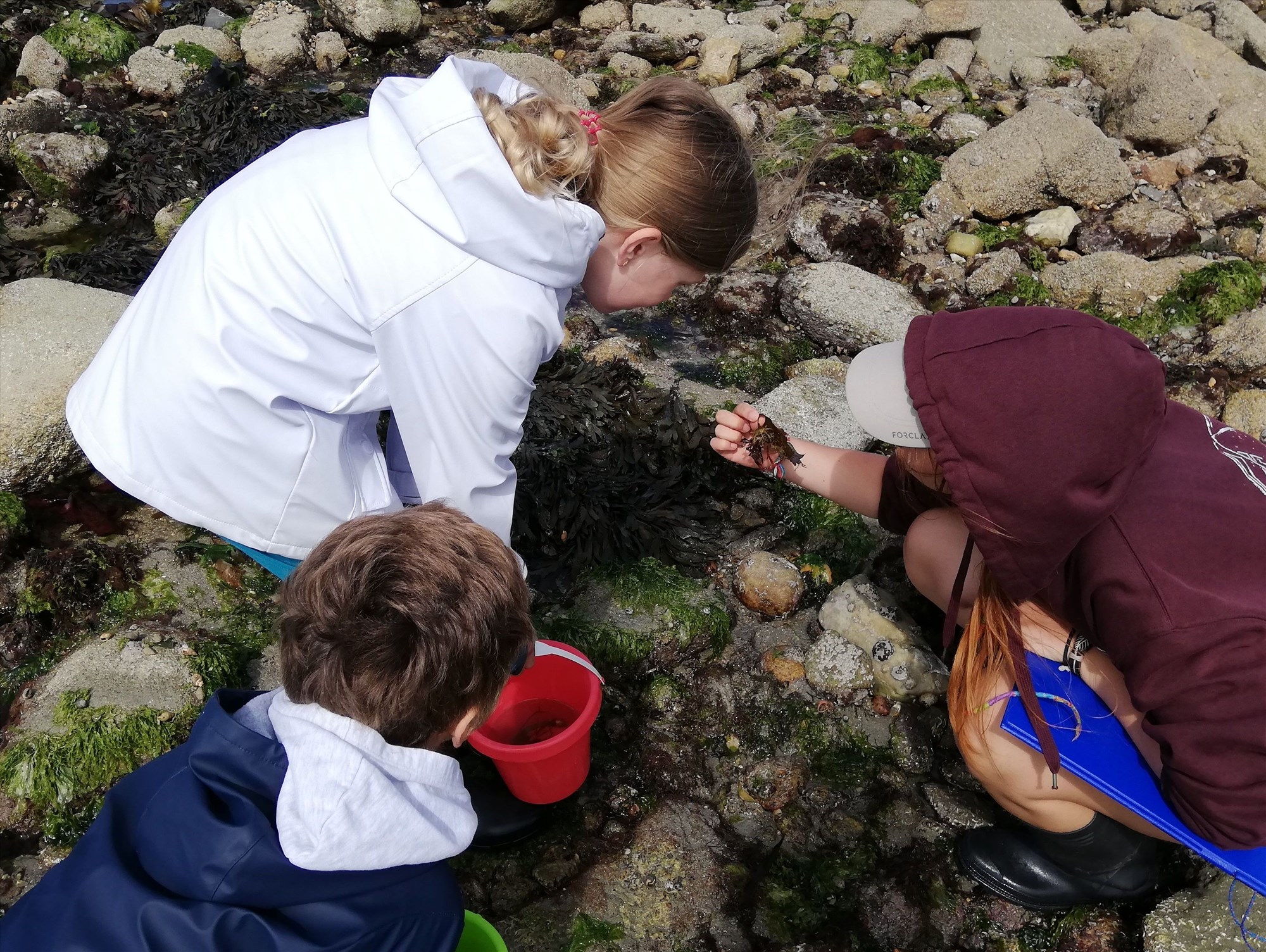 Sortie nature Ploemeur