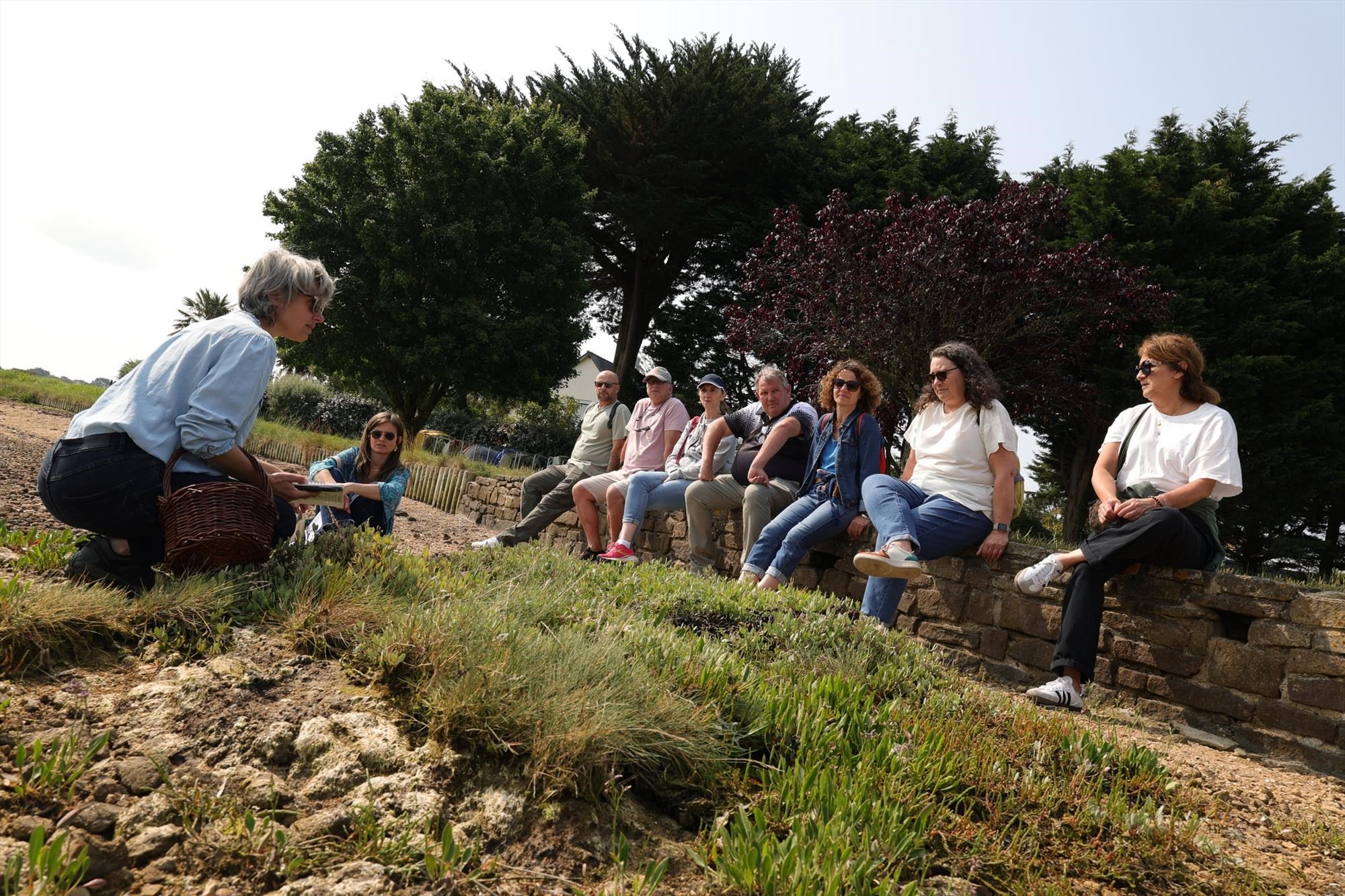 Découverte des plants sauvages comestibles avecNancie Renaut