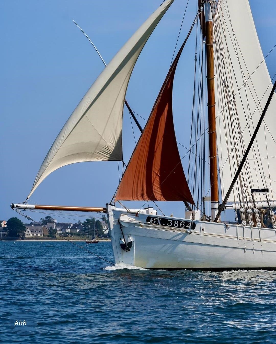 Sortie nature Groix
