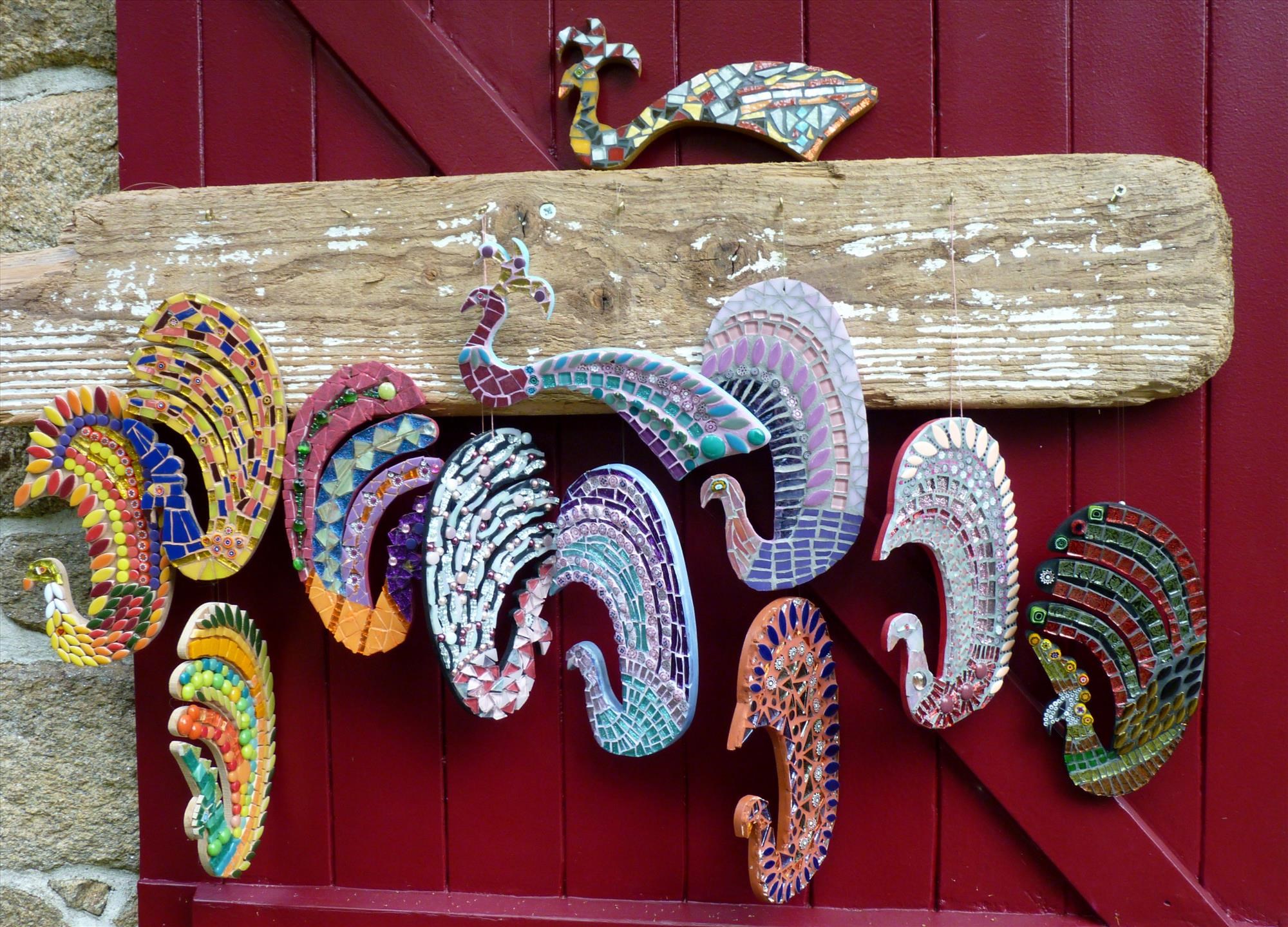 oiseaux