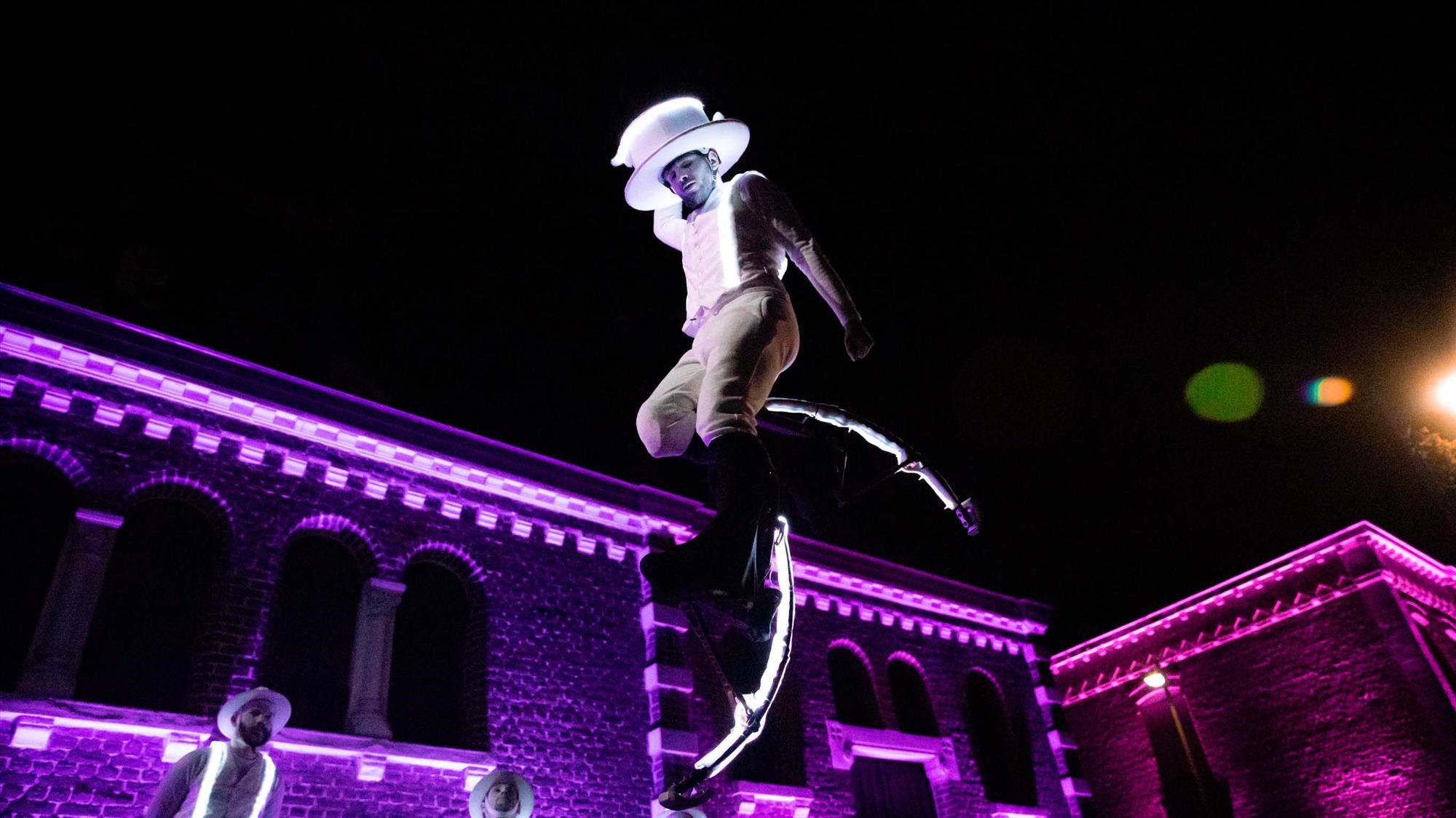 Les Acrobatiques Têtes blanches