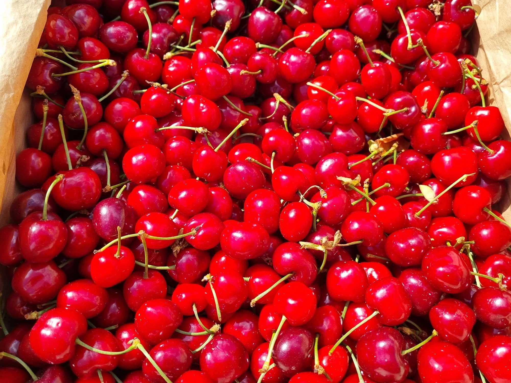 Cerises au marché