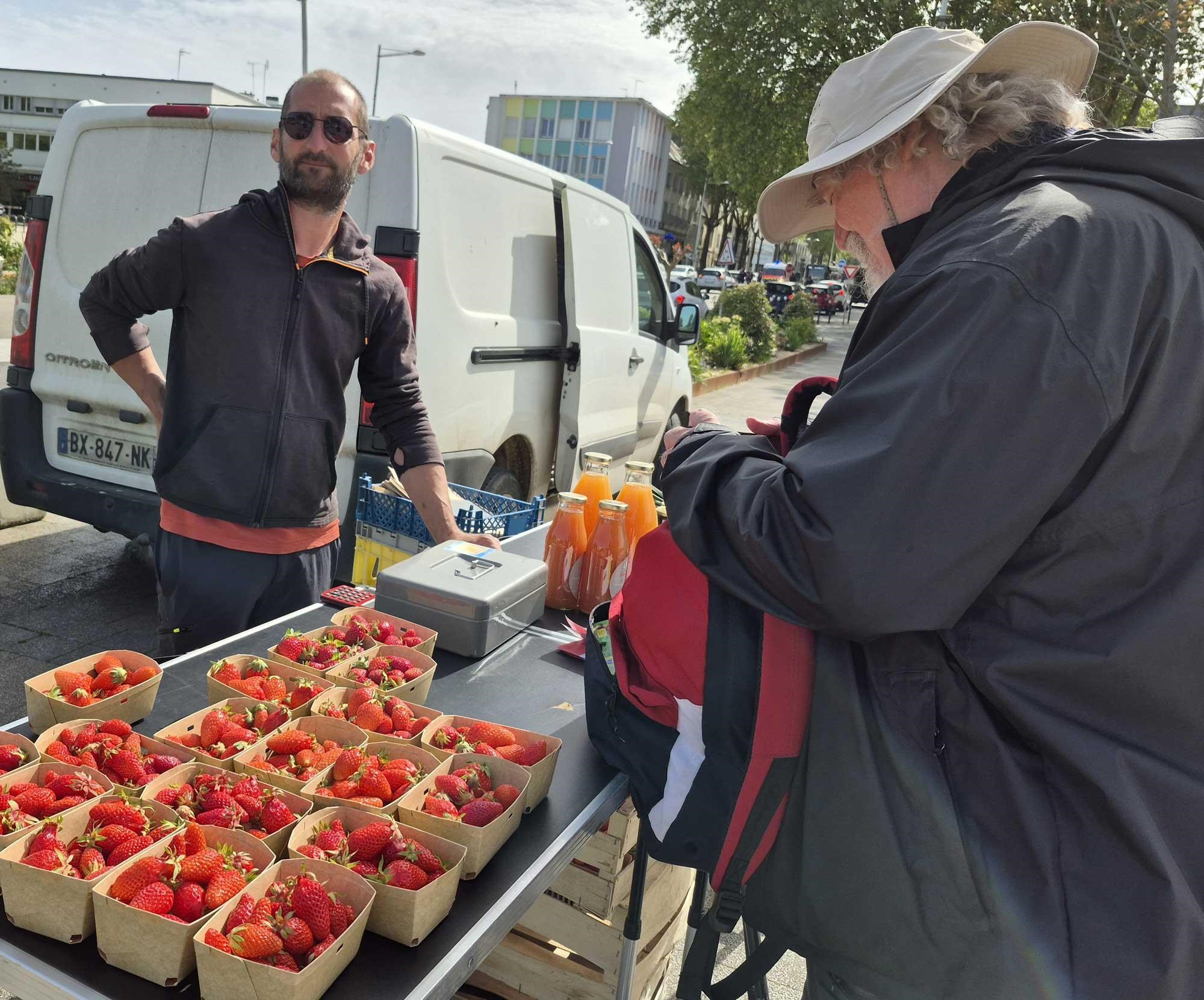 Fraises au marché bio