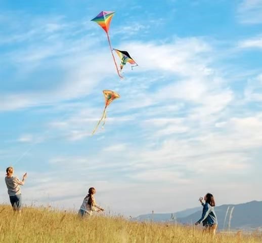 Kite fighting