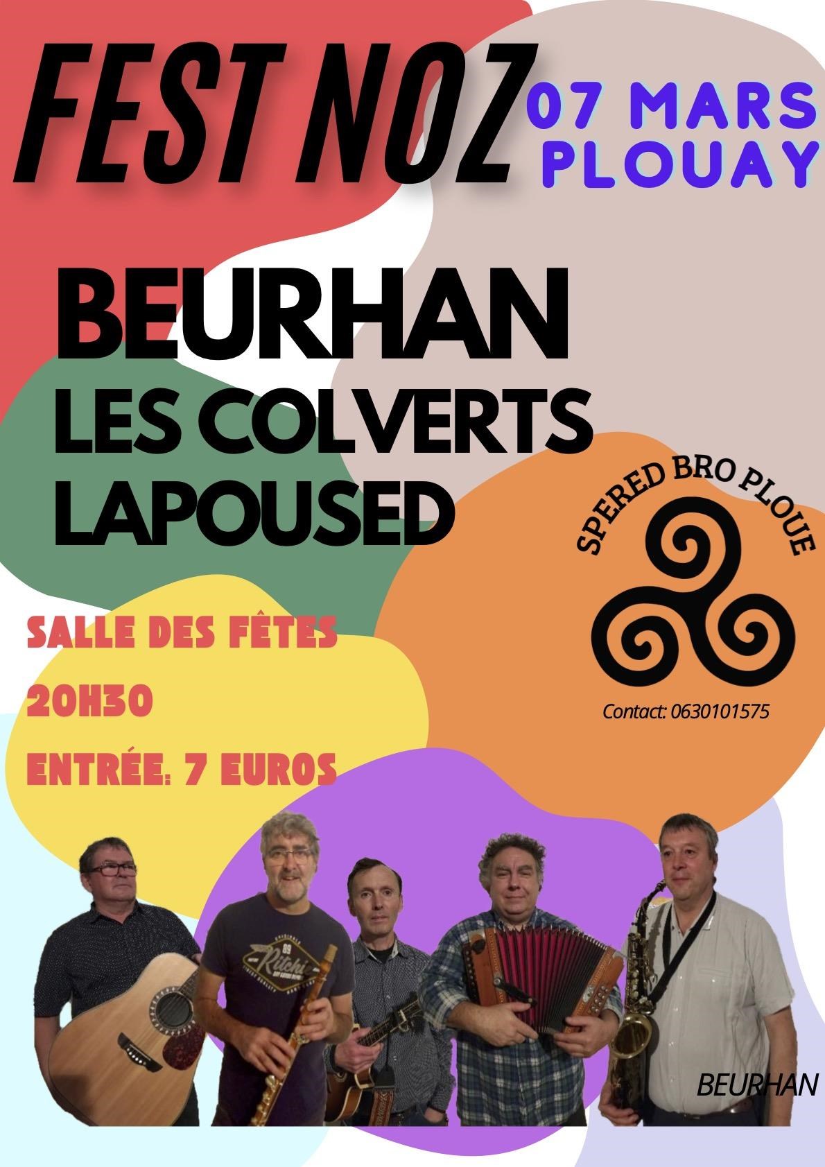 AFFICHE FEST NOZ SPERED BRO PLOUE