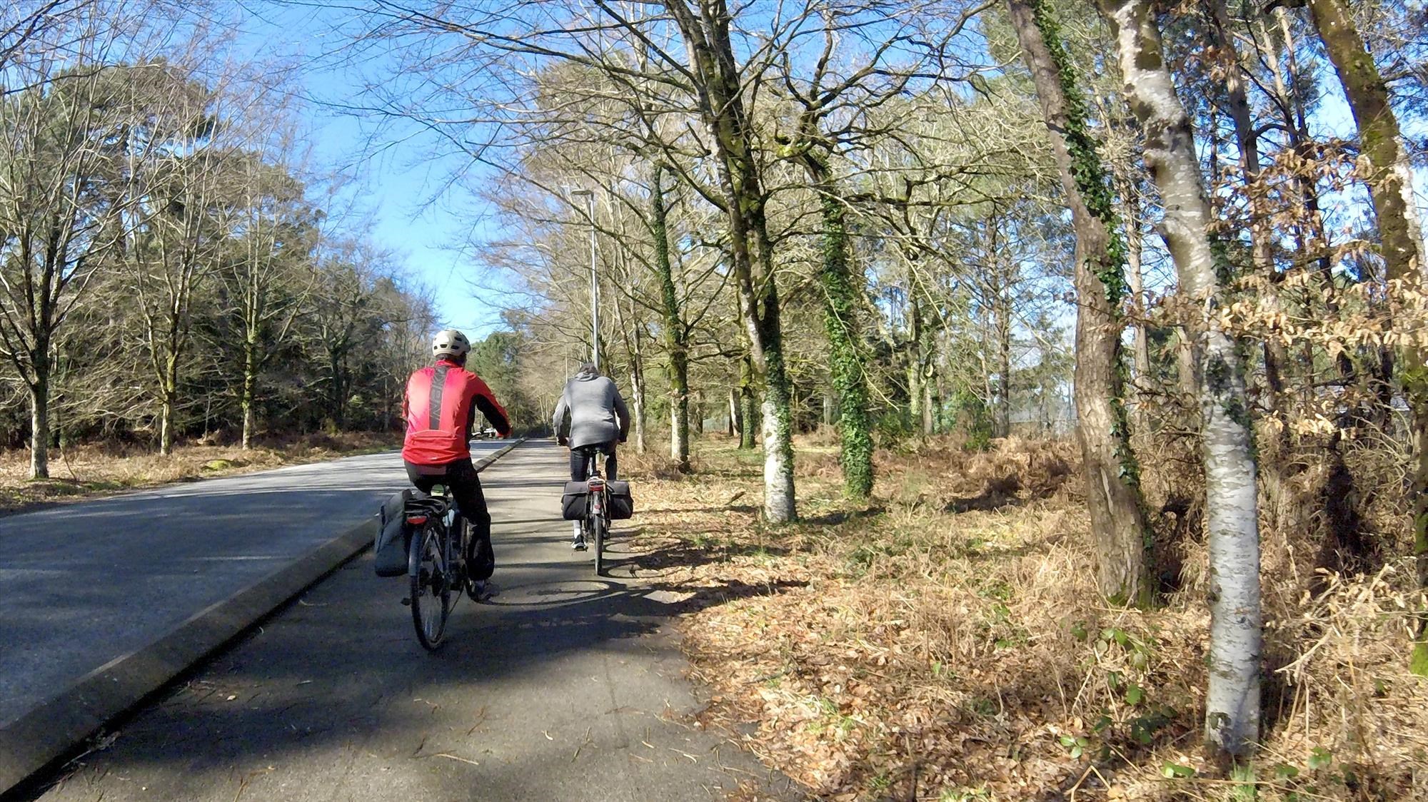 Balades à vélo en toute convivialité
