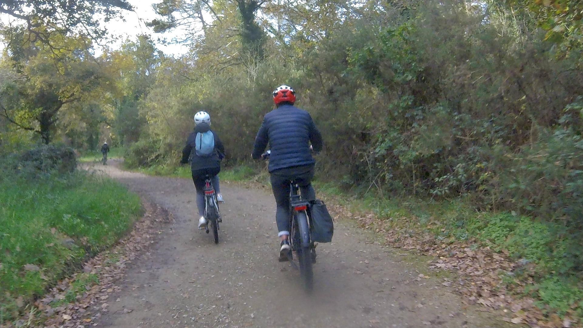 Balades à vélo en toute convivialité