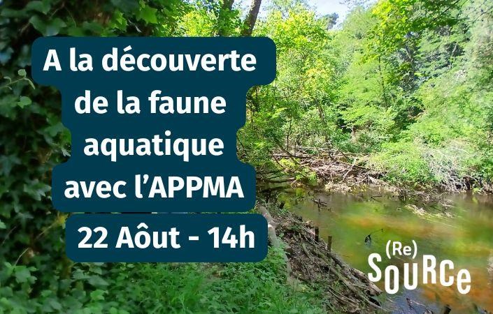 Sortie nature Plouay