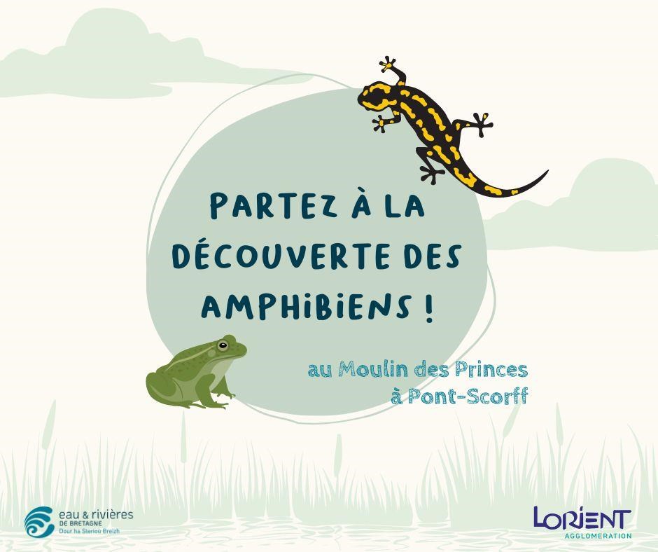 La vie cachée des amphibiens