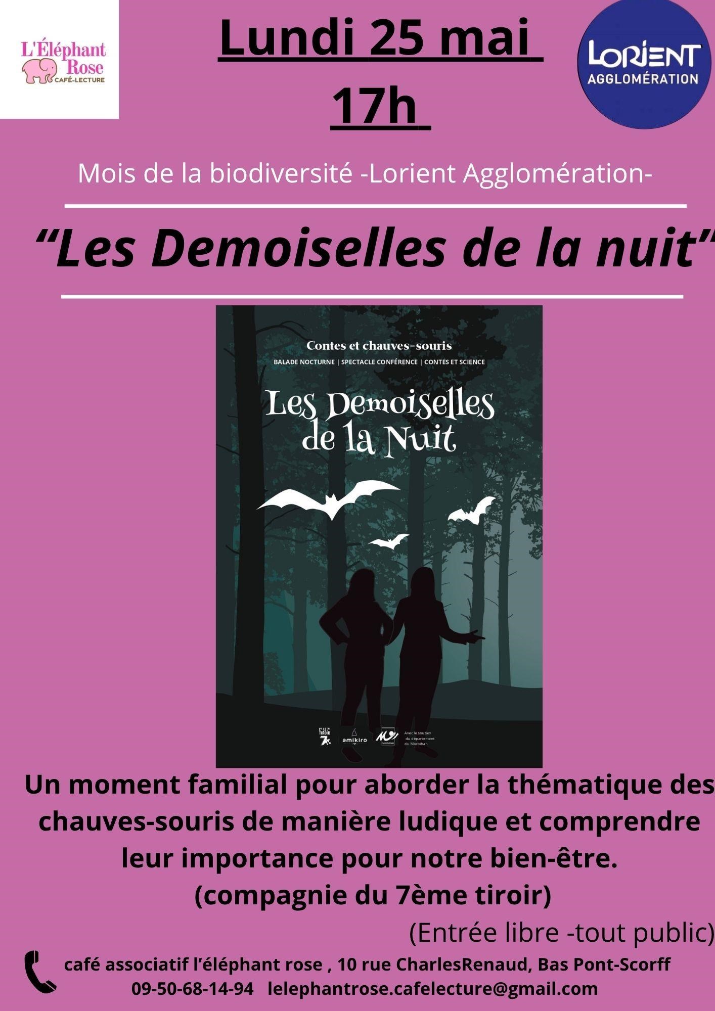 Demoiselles de la nuit