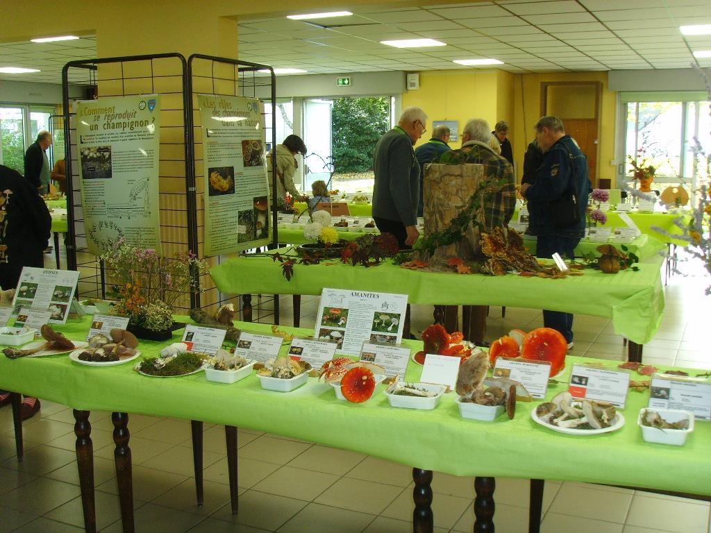 Exposition AMPM 2025