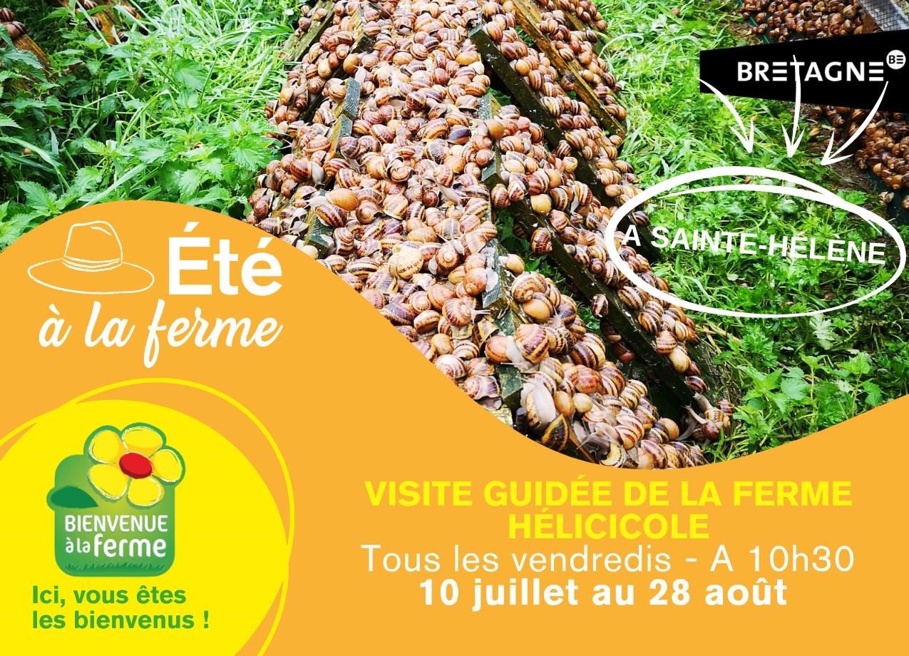 Les Escargots de la Ria