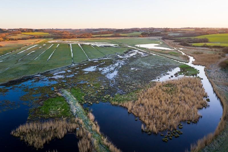 Les prairies inondées grand Loc'h