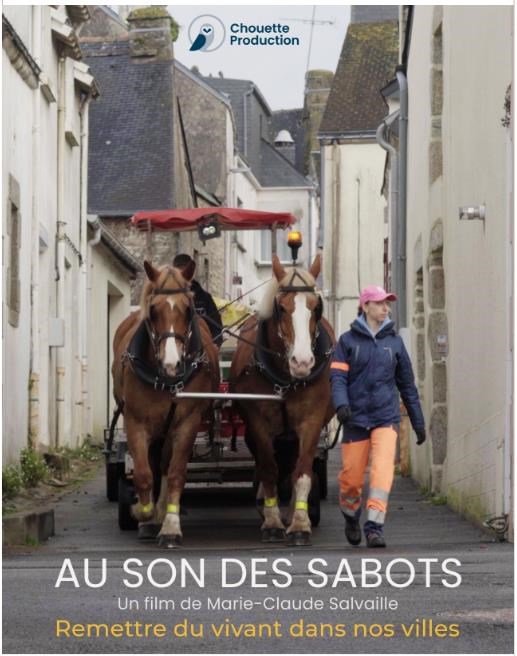 Ciné-débat Hennebont