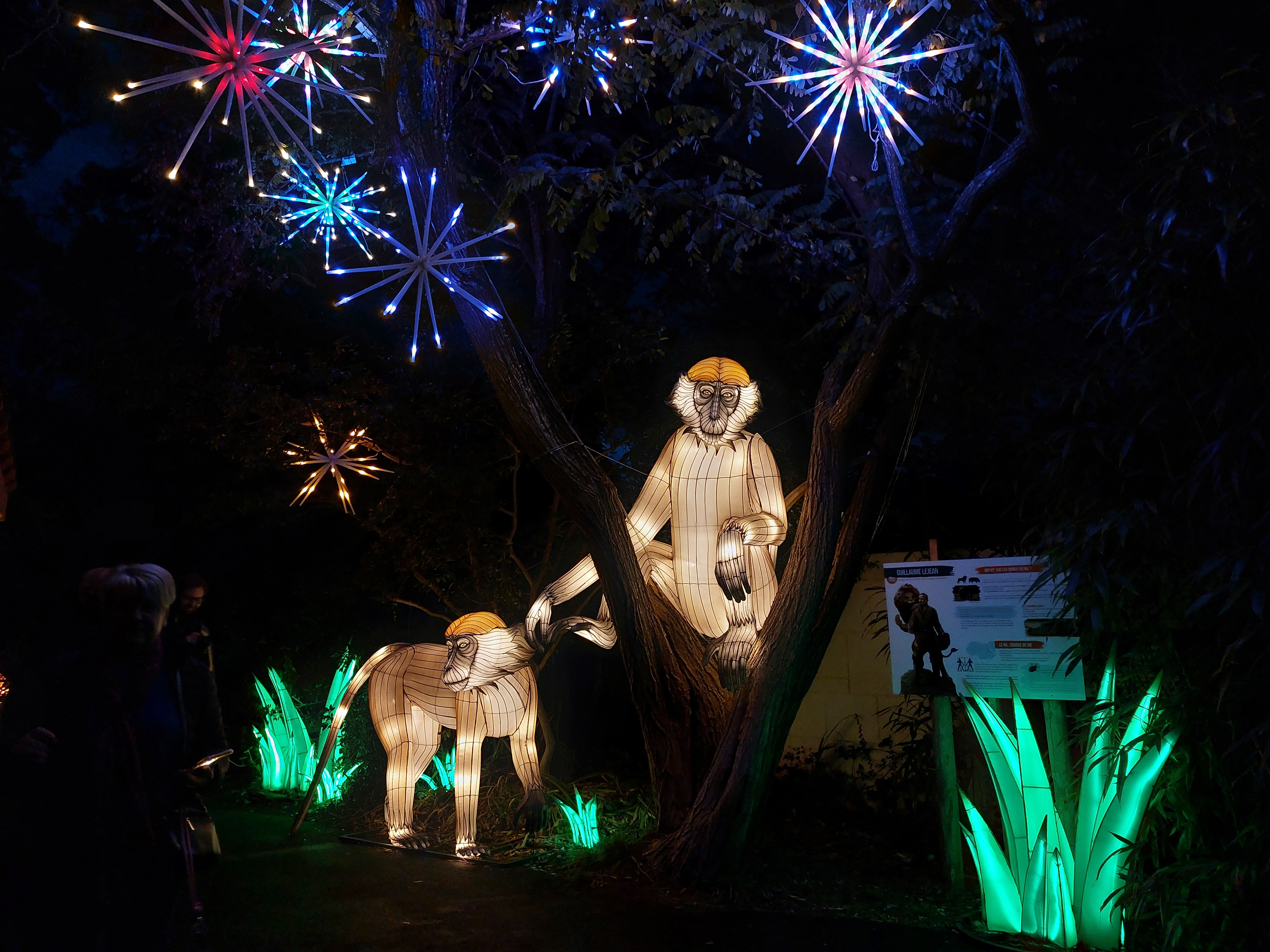 Structures lumineuses de singes au spectacle Les Animaux de Lumière aux Terres de Nataé (Morbihan, 56)